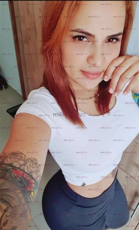 www mileroticos|Escorts y prepagos en Medellín .